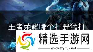 王者荣耀哪个打野英雄最猛