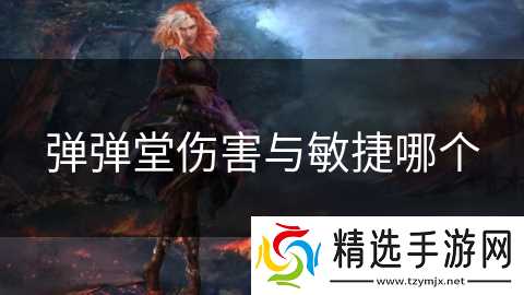 弹弹堂伤害与敏捷哪个