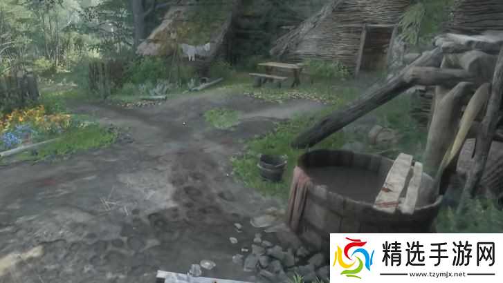 天国拯救2怎么洗衣服-天国拯救2洗衣服的作用