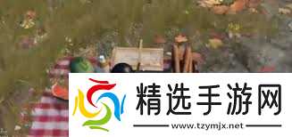 和平精英野餐彩蛋位置在哪