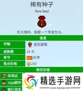 星露谷物语宝石甜莓流怎么玩-宝石甜莓流玩法攻略