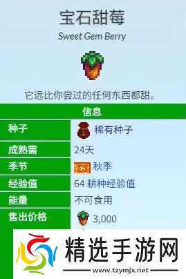 星露谷物语宝石甜莓流怎么玩-宝石甜莓流玩法攻略