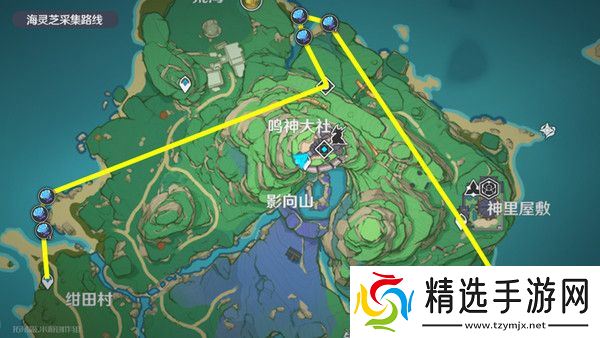 原神梦见月瑞希突破材料收集攻略 梦见月瑞希突破材料在哪里[多图]图片13