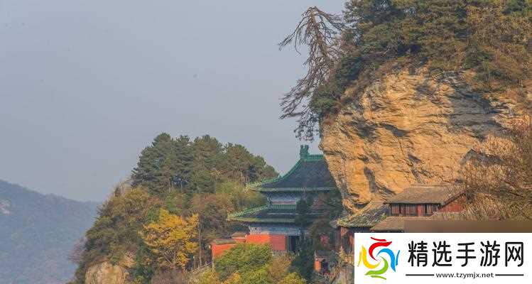 武当职业技能如何加点？剑荡八荒武当详解是什么？