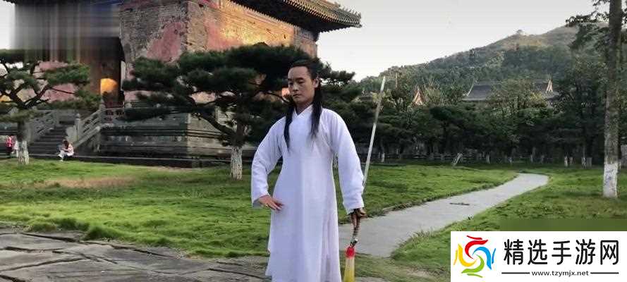 武当职业技能如何加点？剑荡八荒武当详解是什么？