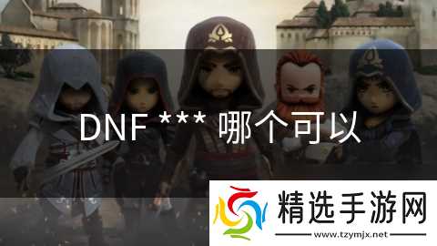 DNF *** 哪个可以