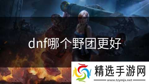 dnf哪个野团更好