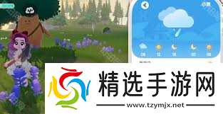 2025年2月12日心动小镇溜溜橡木与无暇萤石位置指南