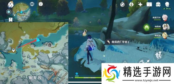 原神奇异的牙齿任务攻略 奇异的牙齿4个收集点位[多图]图片7