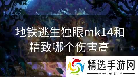 地铁逃生独眼mk14和精致哪个伤害高