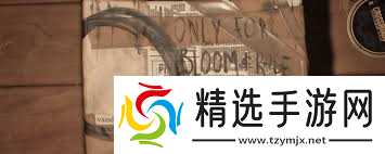 失落的记录中收藏品家朱雀的位置