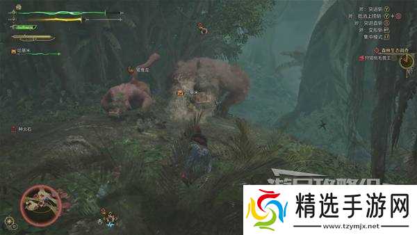 《怪物猎人荒野》桃毛兽王打法及掉落材料一览 桃毛兽王怎么打