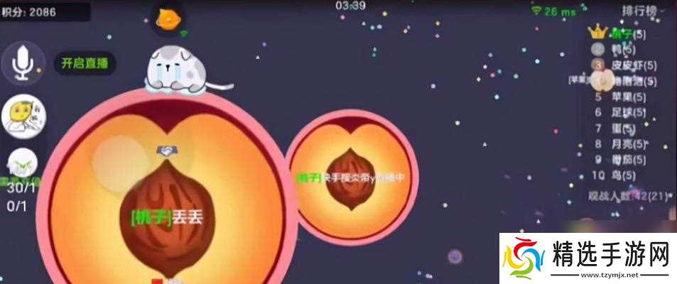 球球大作战大神TV知途杯怎么参加?参赛流程有哪些步骤?