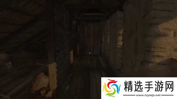 天国拯救2罗莎的书支线任务流程 天国拯救2罗莎的书在哪里