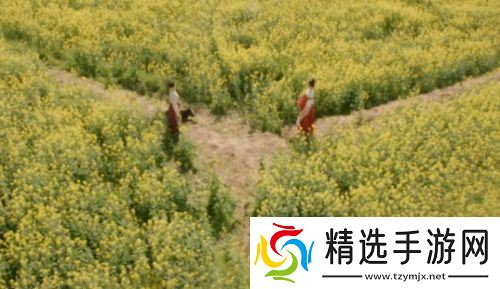 《掌心》采莲身死,霓裳退出,叶平安被埋,复仇小分队遭散伙危机