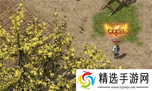 2025年创业计划！《传奇新百区-盟重神兵》等你来战