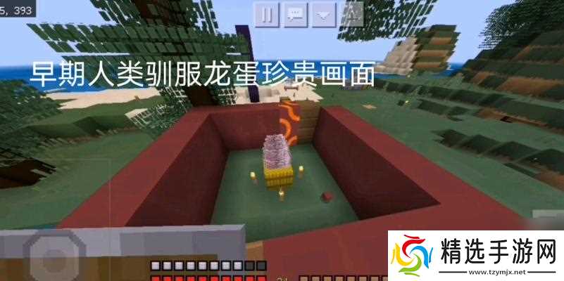 我的世界龙蛋挖掘与孵化方法？