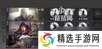 率土之滨悬权而动搭配推荐新战法怎么用