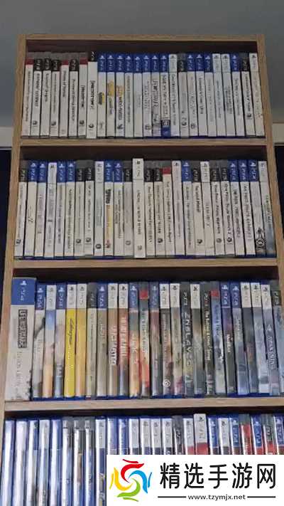 颜色强迫症？妻子创意收纳游戏盘 玩家哭笑不得