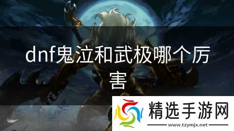 dnf鬼泣和武极哪个厉害