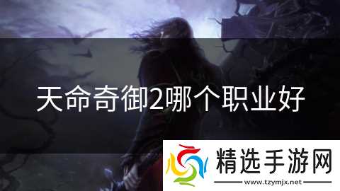 天命奇御2哪个职业好
