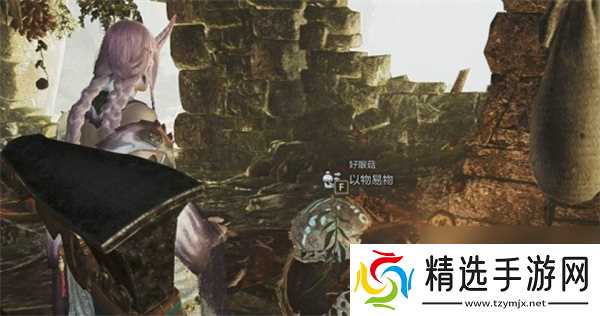 怪物猎人荒野大大的宝物获取方法分享