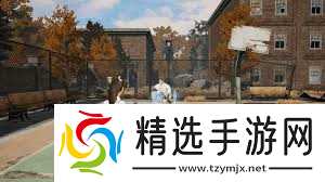 明日之后寒霜守护芯片有哪些效果