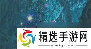 怪物猎人荒野大望花水母位置在哪