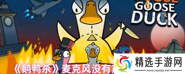 鹅鸭杀麦克风没有声音怎么办-鹅鸭杀麦克风没有声音处理方法