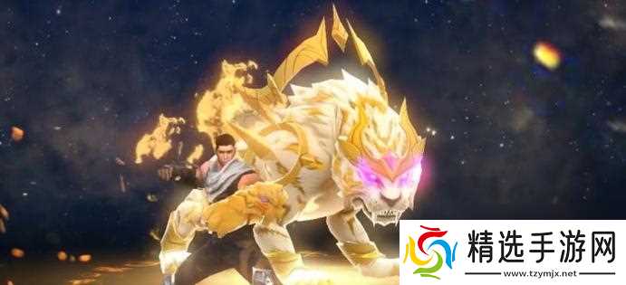 唐门在手游中应装备哪些装备？