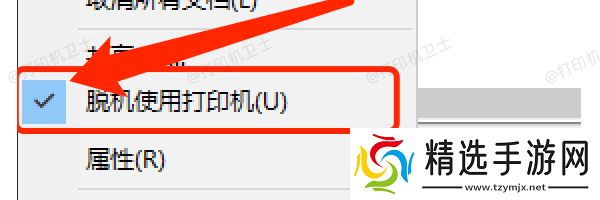 设置打印机为“在线”模式
