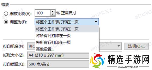 在打印设置中调整尺寸
