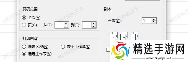 选择“仅打印含数据的页面”