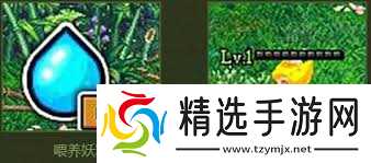 DNF隐藏地图：妖精之森精确坐标与神秘入口指南