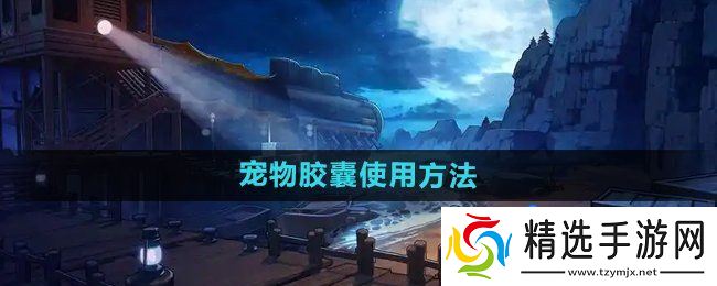 《DNF》宠物胶囊使用方法