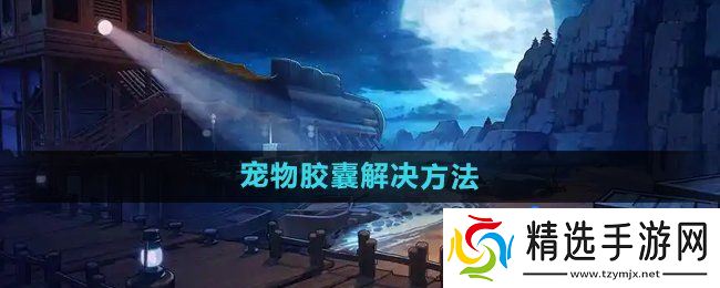 《DNF》宠物胶囊用不了解决方法