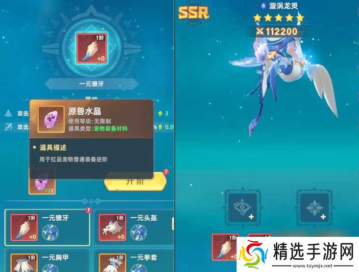 猎风传说宠物战力飙升秘籍：等级突破与装备强化全攻略