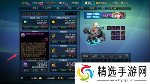 《DNF》宠物胶囊使用方法