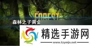 森林之子黄金甲的作用是什么