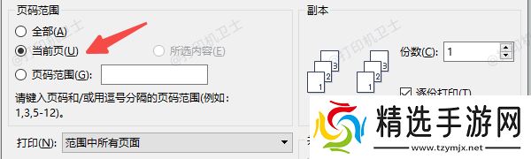 检查打印设置中的页面选择