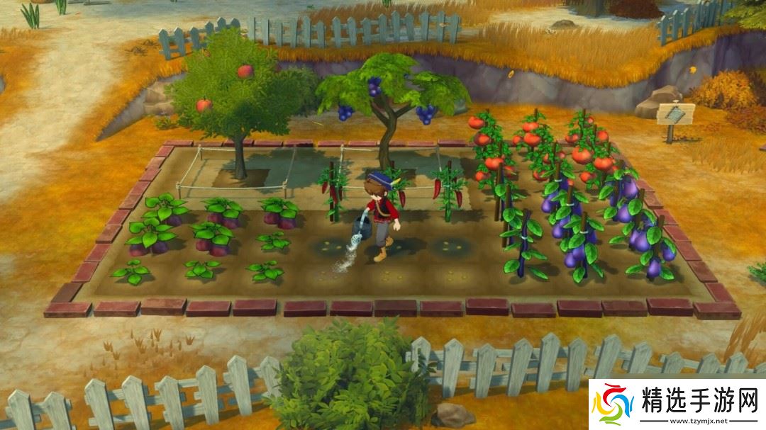 《牧场物语 来吧！风之繁华集市》上架Steam 首批截图