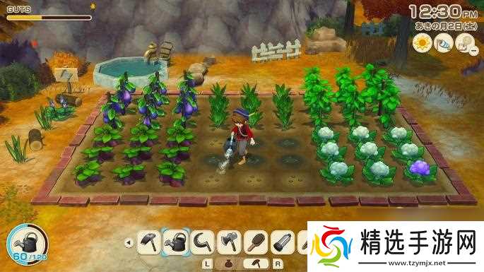 《牧场物语》系列最新作 生活游戏 《牧场物语 来吧！风之繁华市集》8月28日发售决定！