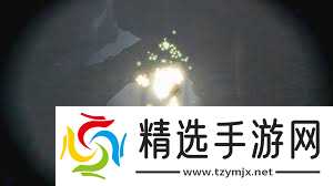 怪物猎人荒野中闪光翅虫在哪里？怎么捕获