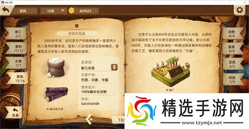 【游·见】专访Muccy Games：在代码缝隙播种知识，让游戏成为认知的脚手架