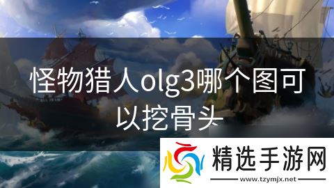 怪物猎人olg3哪个图可以挖骨头