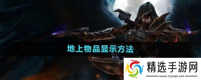 《暗黑破坏神2》地上物品显示方法