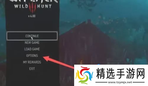 《巫师3》中文设置方法