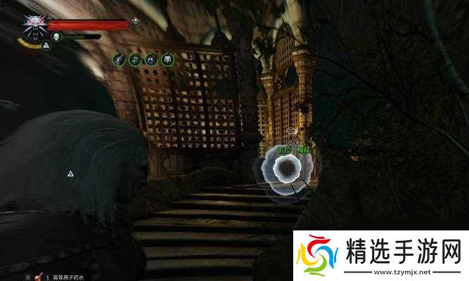 如何达成巫师3凯拉梅兹的完美结局？对话选择有何要点？