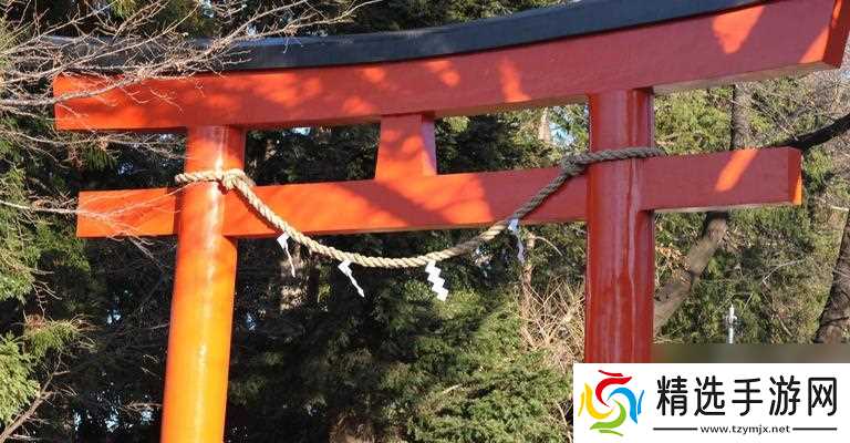 达愿福神社在哪里可以玩？游玩体验如何？