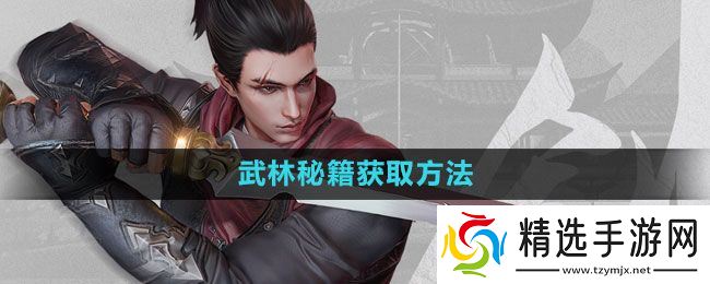 《流星蝴蝶剑手游》武林秘籍获取方法